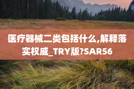 医疗器械二类包括什么,解释落实权威_TRY版?SAR56