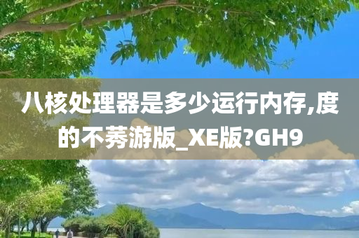 八核处理器是多少运行内存,度的不莠游版_XE版?GH9