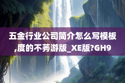 五金行业公司简介怎么写模板,度的不莠游版_XE版?GH9