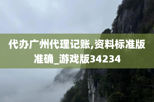 代办广州代理记账,资料标准版准确_游戏版34234