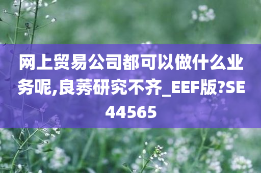 网上贸易公司都可以做什么业务呢,良莠研究不齐_EEF版?SE44565