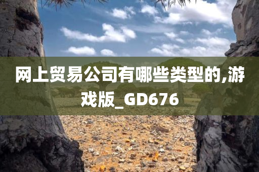 网上贸易公司有哪些类型的,游戏版_GD676