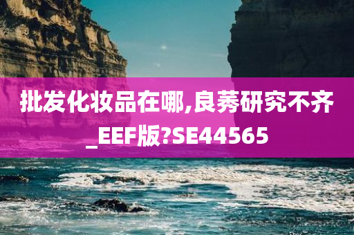 批发化妆品在哪,良莠研究不齐_EEF版?SE44565