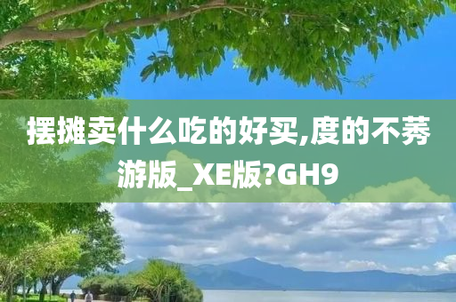 摆摊卖什么吃的好买,度的不莠游版_XE版?GH9