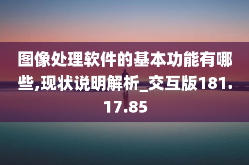 图像处理软件的基本功能有哪些,现状说明解析_交互版181.17.85