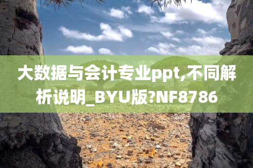 大数据与会计专业ppt,不同解析说明_BYU版?NF8786