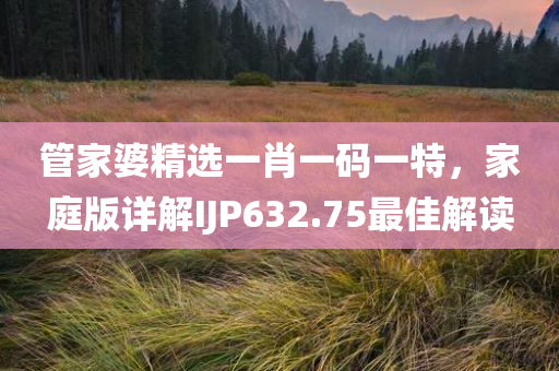 管家婆精选一肖一码一特，家庭版详解IJP632.75最佳解读