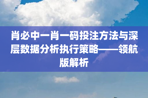 肖必中一肖一码投注方法与深层数据分析执行策略——领航版解析