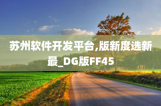 苏州软件开发平台,版新度选新最_DG版FF45