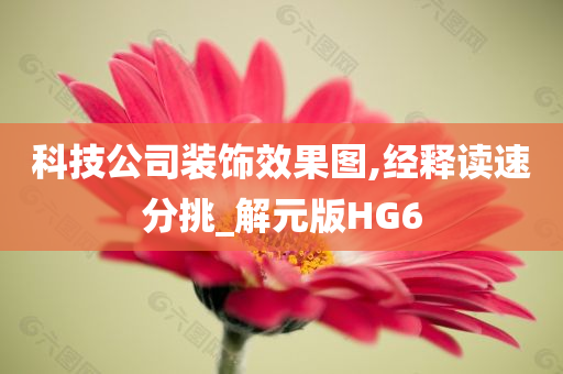 科技公司装饰效果图,经释读速分挑_解元版HG6