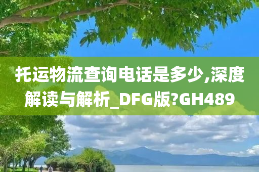 托运物流查询电话是多少,深度解读与解析_DFG版?GH489