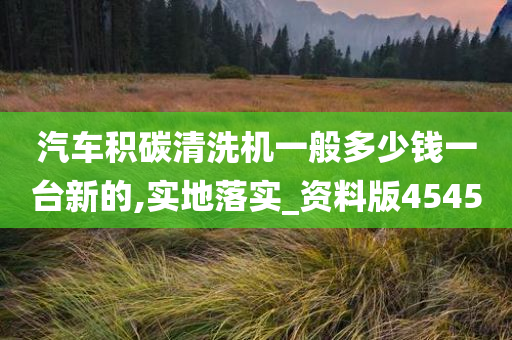 汽车积碳清洗机一般多少钱一台新的,实地落实_资料版4545