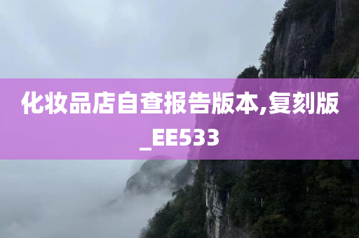 化妆品店自查报告版本,复刻版_EE533