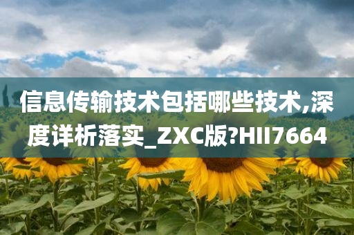 信息传输技术包括哪些技术,深度详析落实_ZXC版?HII7664