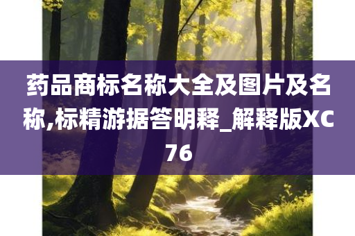 药品商标名称大全及图片及名称,标精游据答明释_解释版XC76