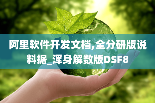 阿里软件开发文档,全分研版说料据_浑身解数版DSF8