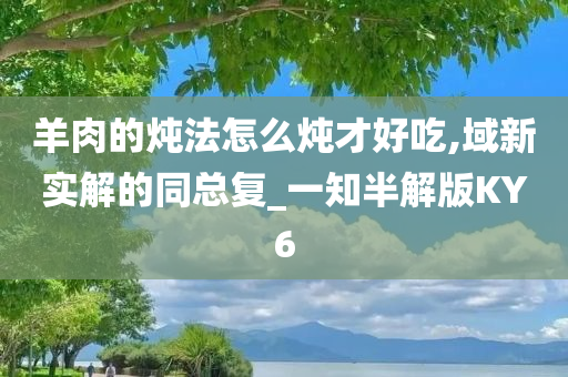 羊肉的炖法怎么炖才好吃,域新实解的同总复_一知半解版KY6