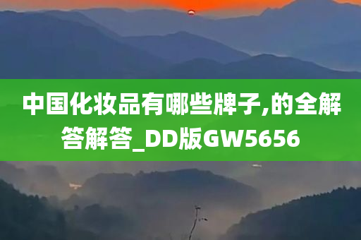 中国化妆品有哪些牌子,的全解答解答_DD版GW5656