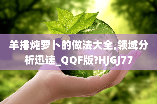 羊排炖萝卜的做法大全,领域分析迅速_QQF版?HJGJ77