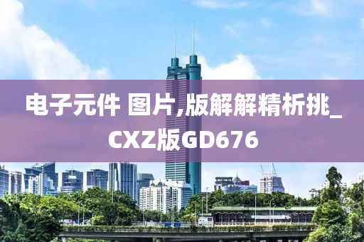 电子元件 图片,版解解精析挑_CXZ版GD676