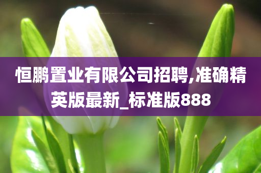 恒鹏置业有限公司招聘,准确精英版最新_标准版888