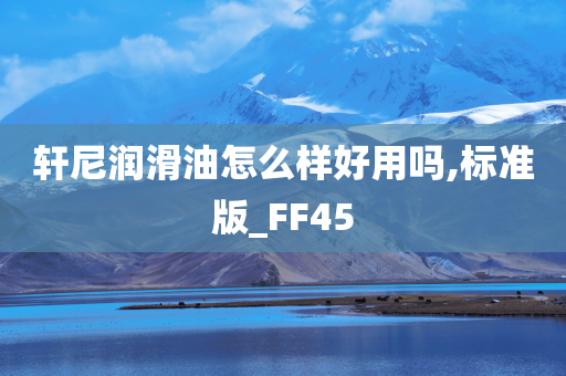 轩尼润滑油怎么样好用吗,标准版_FF45