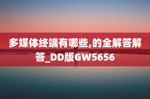 多媒体终端有哪些,的全解答解答_DD版GW5656