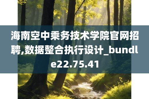 海南空中乘务技术学院官网招聘,数据整合执行设计_bundle22.75.41