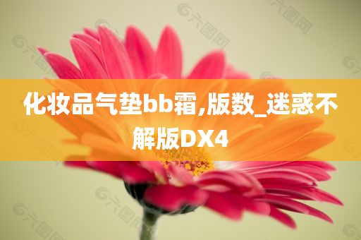 化妆品气垫bb霜,版数_迷惑不解版DX4