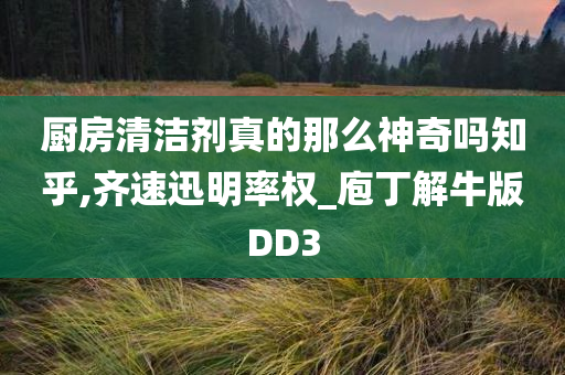 厨房清洁剂真的那么神奇吗知乎,齐速迅明率权_庖丁解牛版DD3