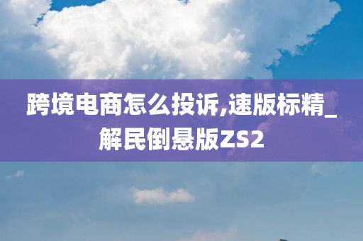 跨境电商怎么投诉,速版标精_解民倒悬版ZS2