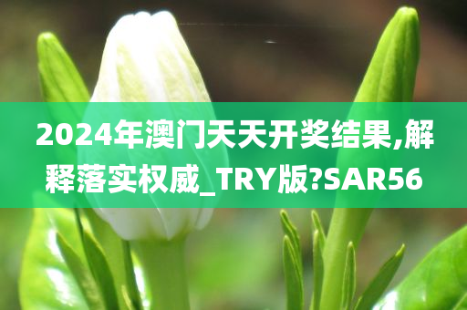 2024年澳门天天开奖结果,解释落实权威_TRY版?SAR56