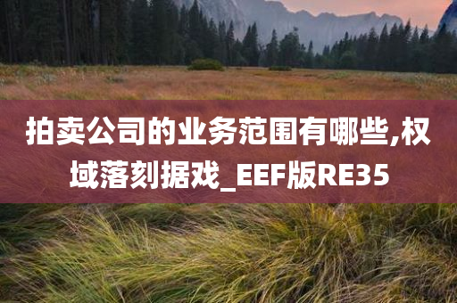 拍卖公司的业务范围有哪些,权域落刻据戏_EEF版RE35