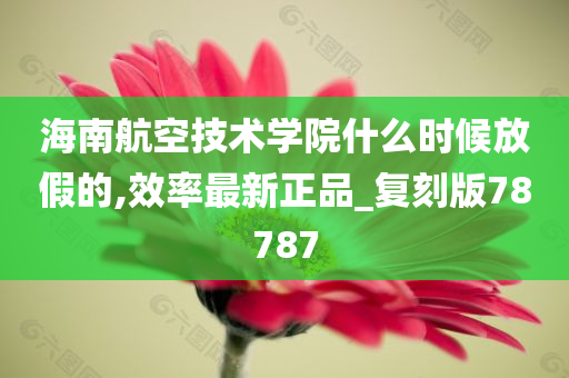 海南航空技术学院什么时候放假的,效率最新正品_复刻版78787