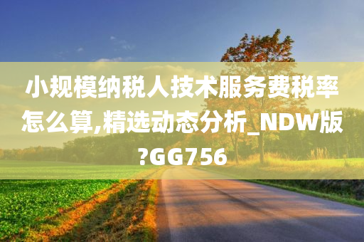 小规模纳税人技术服务费税率怎么算,精选动态分析_NDW版?GG756