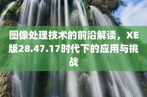 图像处理技术的前沿解读，XE版28.47.17时代下的应用与挑战