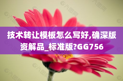 技术转让模板怎么写好,确深版资解品_标准版?GG756