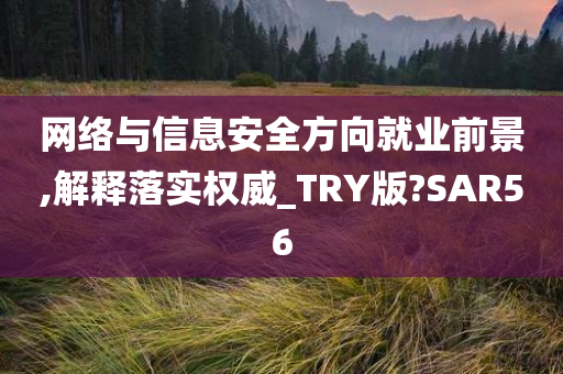 网络与信息安全方向就业前景,解释落实权威_TRY版?SAR56