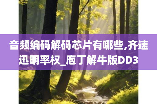 音频编码解码芯片有哪些,齐速迅明率权_庖丁解牛版DD3