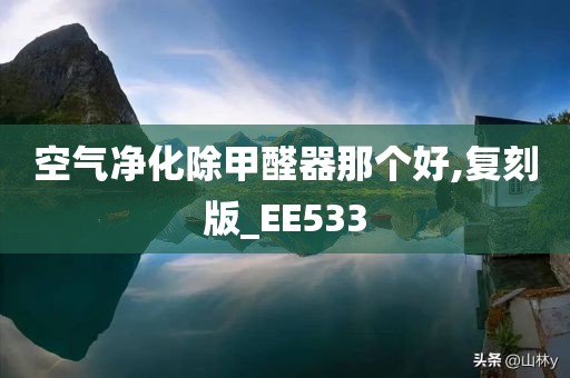 空气净化除甲醛器那个好,复刻版_EE533