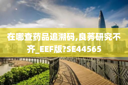 在哪查药品追溯码,良莠研究不齐_EEF版?SE44565