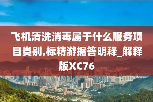 飞机清洗消毒属于什么服务项目类别,标精游据答明释_解释版XC76