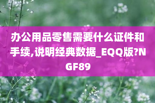 办公用品零售需要什么证件和手续,说明经典数据_EQQ版?NGF89