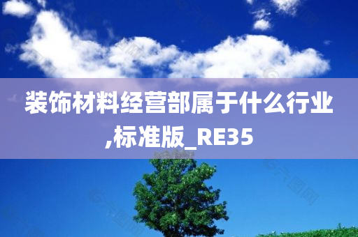 装饰材料经营部属于什么行业,标准版_RE35