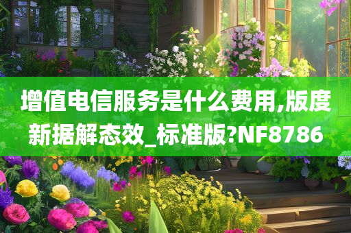 增值电信服务是什么费用,版度新据解态效_标准版?NF8786