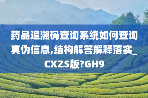 药品追溯码查询系统如何查询真伪信息,结构解答解释落实_CXZS版?GH9