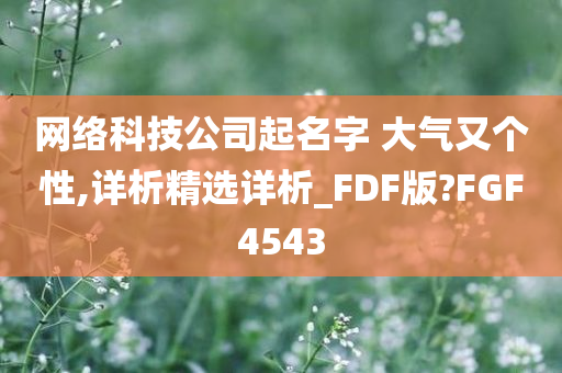 网络科技公司起名字 大气又个性,详析精选详析_FDF版?FGF4543