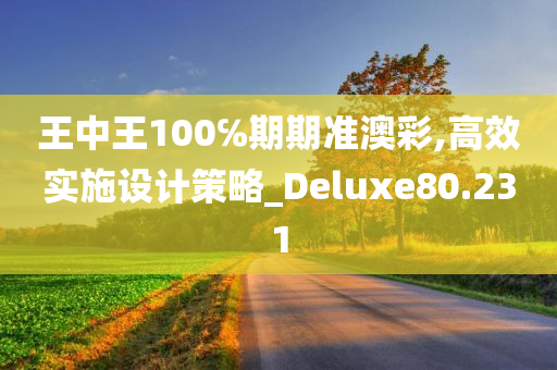 王中王100℅期期准澳彩,高效实施设计策略_Deluxe80.231