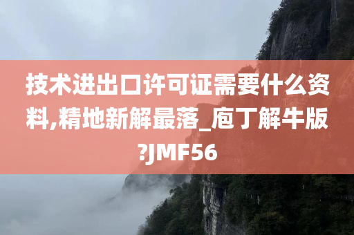 技术进出口许可证需要什么资料,精地新解最落_庖丁解牛版?JMF56