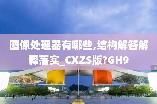 图像处理器有哪些,结构解答解释落实_CXZS版?GH9